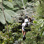 Thumb for Zip Line